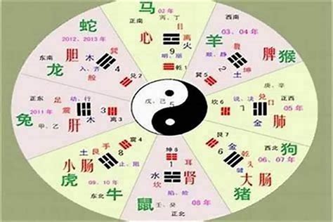 彦五行|彦字的五行属性